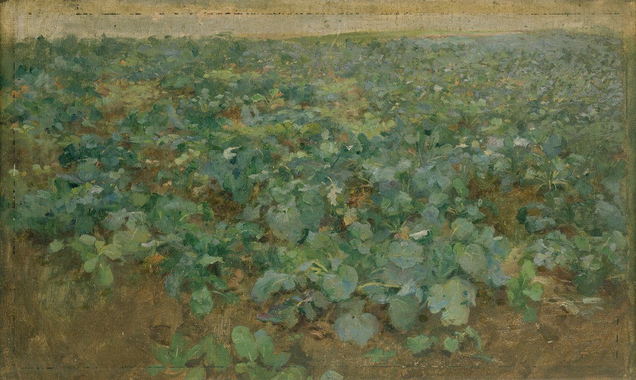 Le champ de navets - William Edward Stott