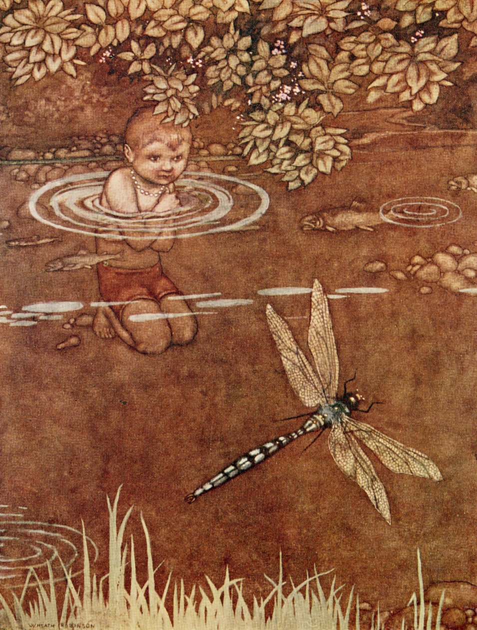 Il était un peu vaniteux de ses belles couleurs et de ses grandes ailes - William Heath Robinson