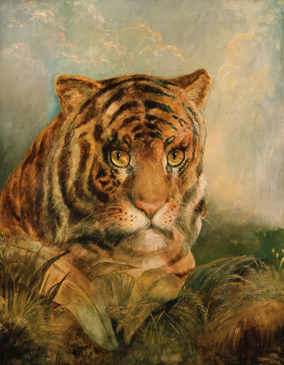 Image inconnue - William Huggins