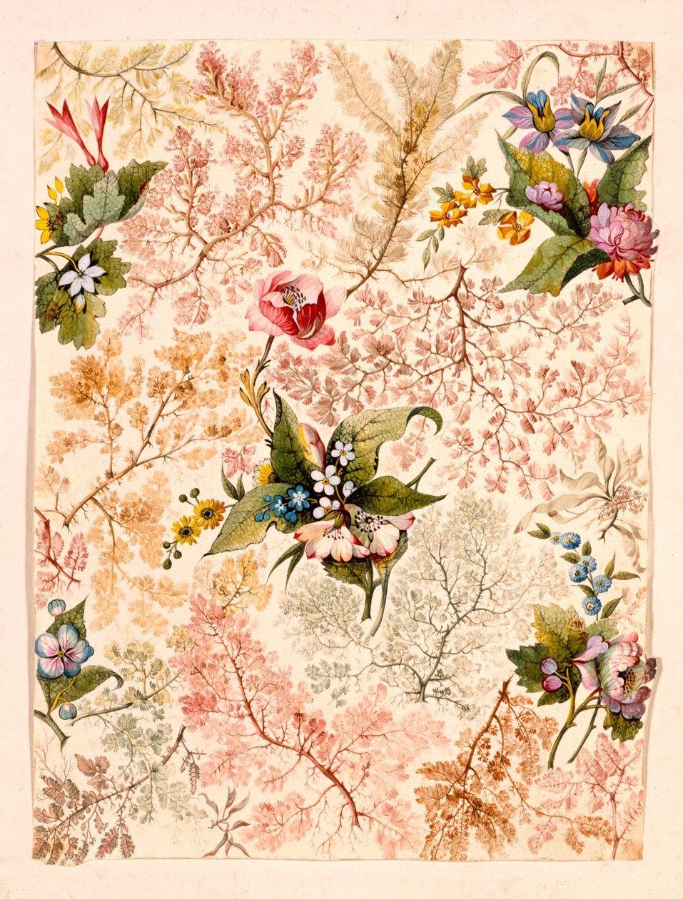Papier marbré - William Kilburn