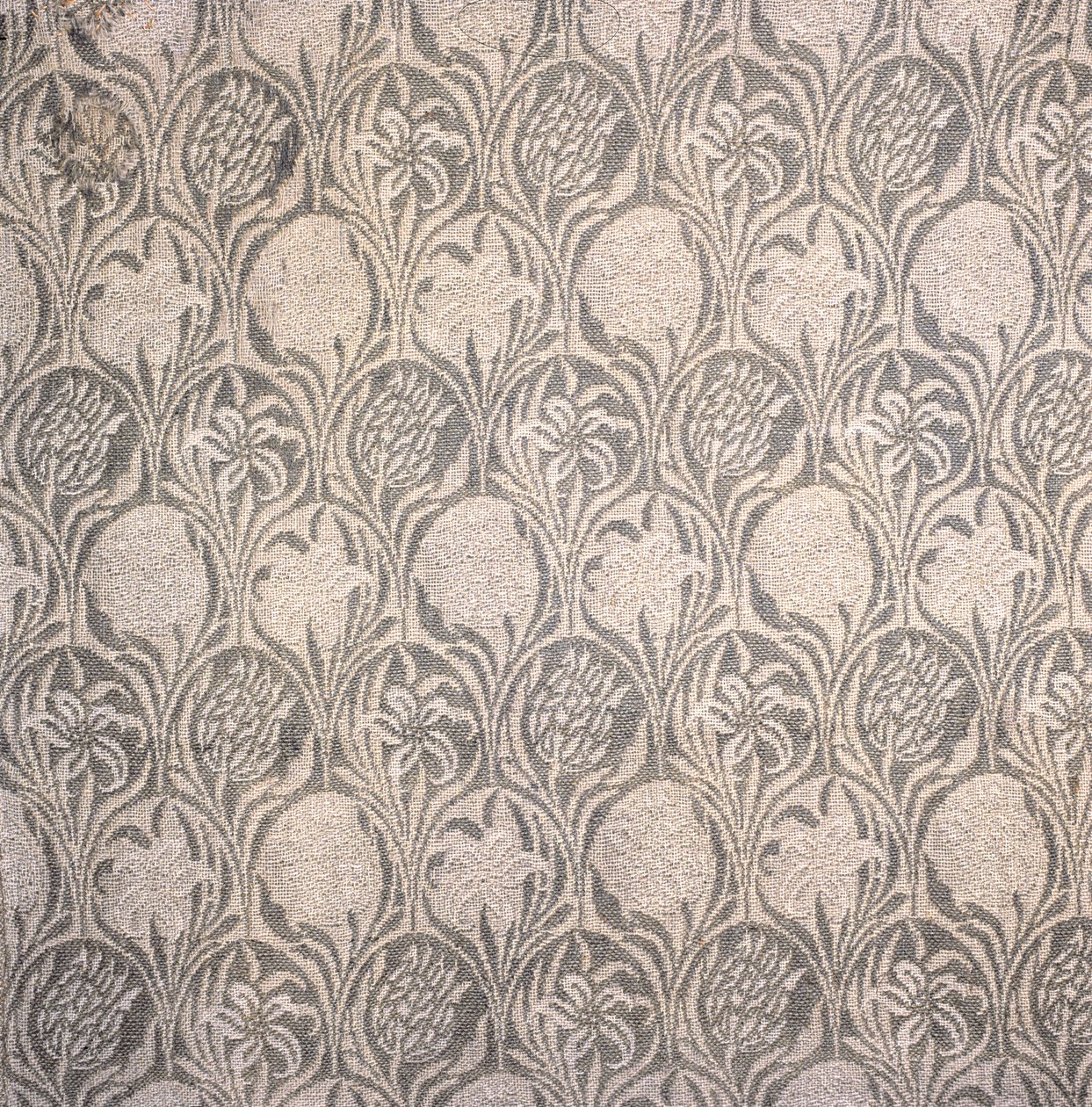 Fragment de rideau, design de tulipe et de lys - William Morris