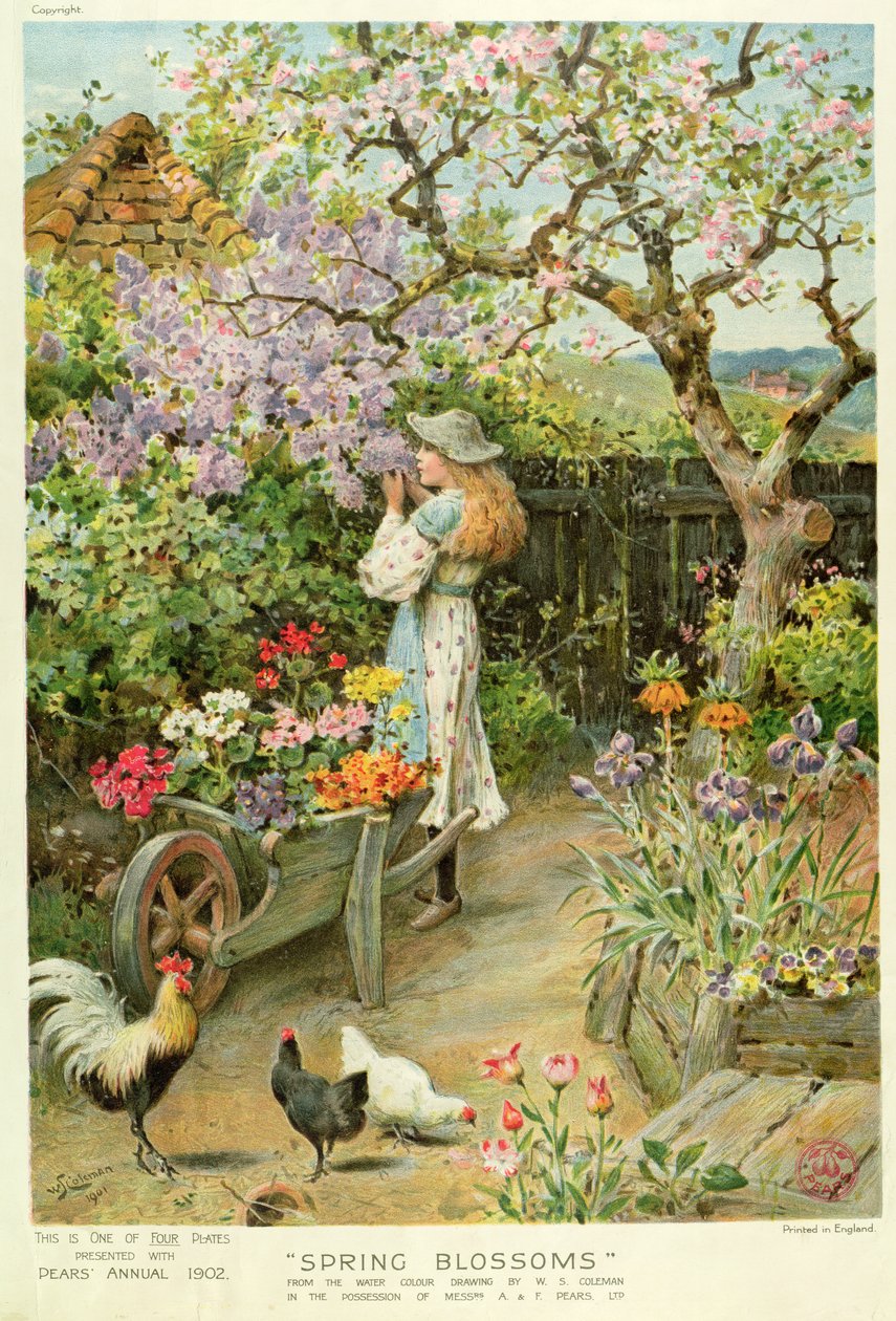 Fleurs de printemps, tiré du Pears Annual, 1902 - William Stephen Coleman