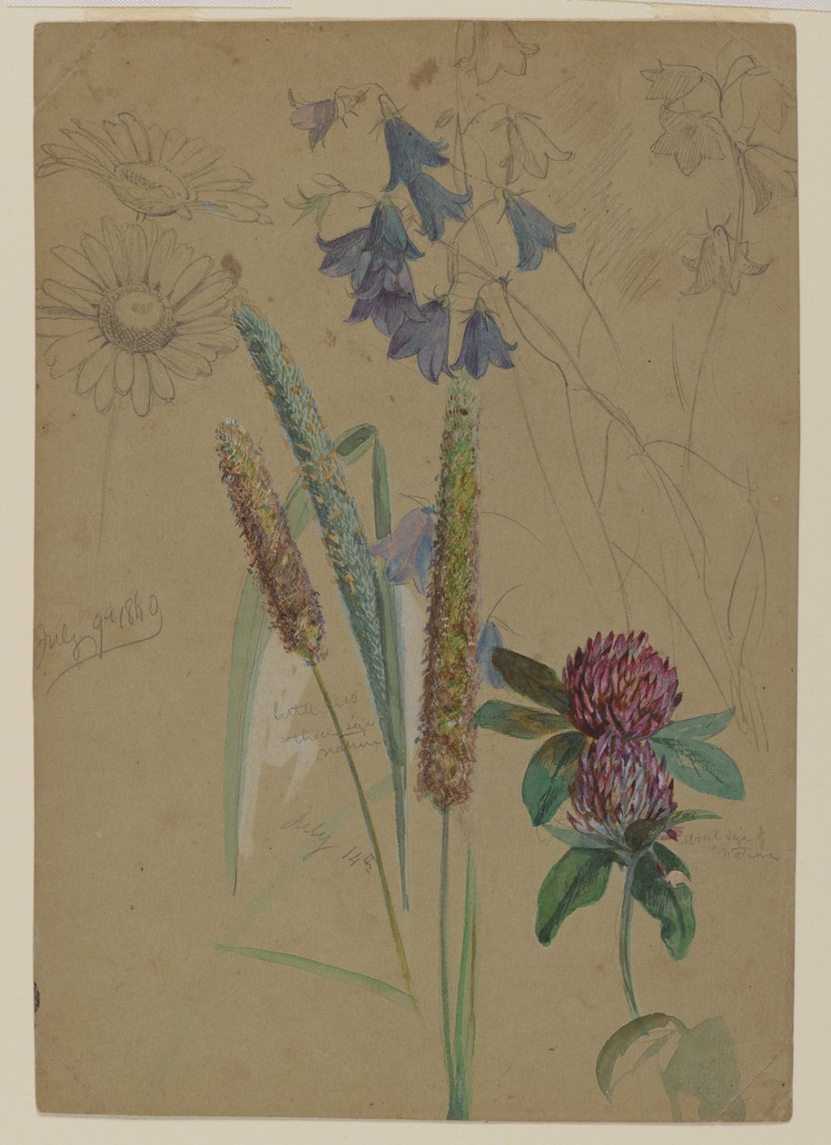 Étude de fleurs, 1860 - William Trost Richards