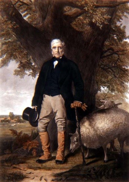 Portrait de Samuel Wiley avec moutons primés, gravé par J. Andrews - William (after) Hay