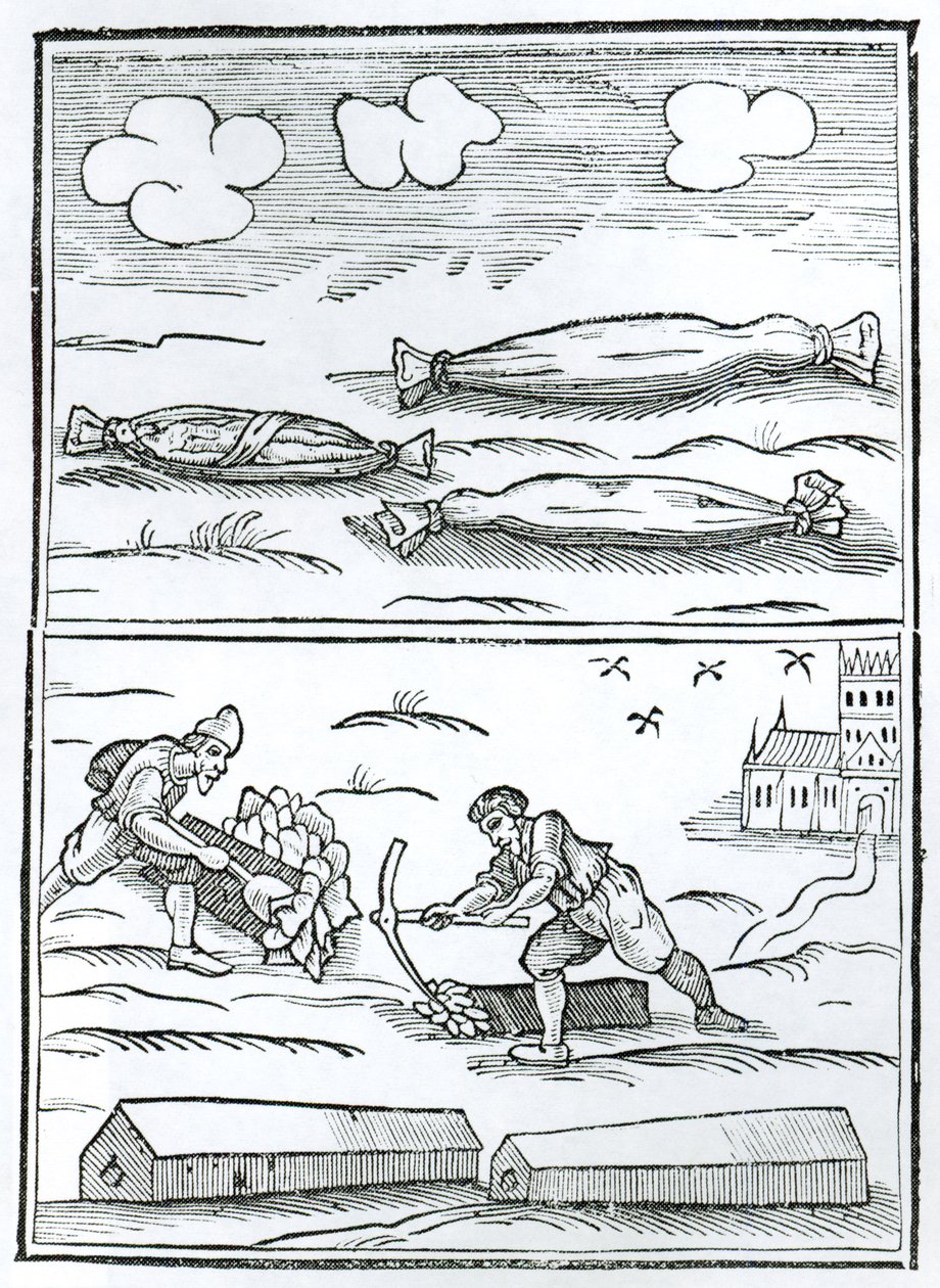 Facsmilie du hiéroglyphe de la Grande Peste tiré de "Monarchy or No Monarchy in England" de William Lilly, publié en 1651 (gravure sur bois) (photo n/b) - William (after) Lilly