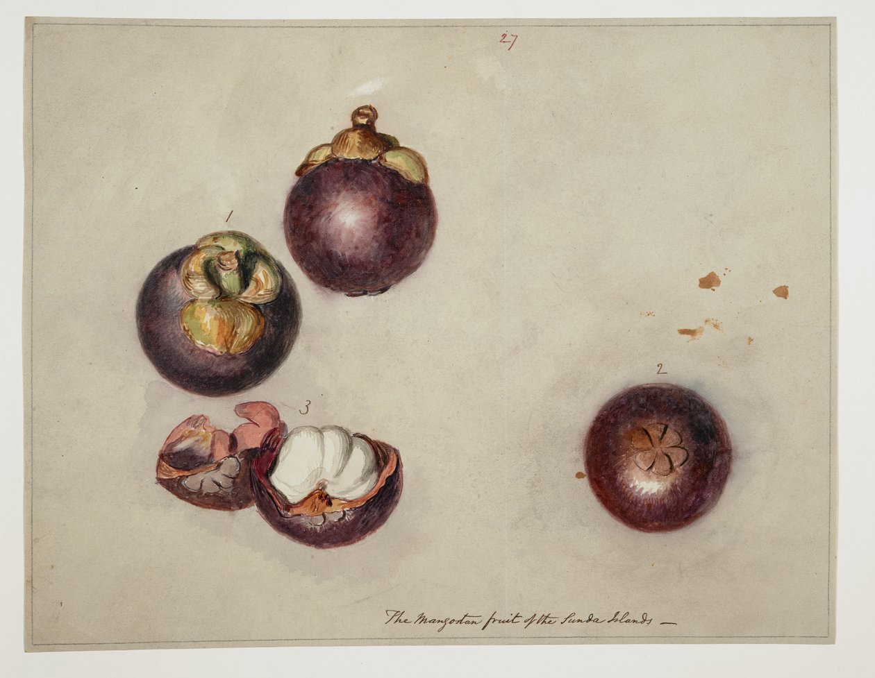 WD 961 f.27 - William Alexander