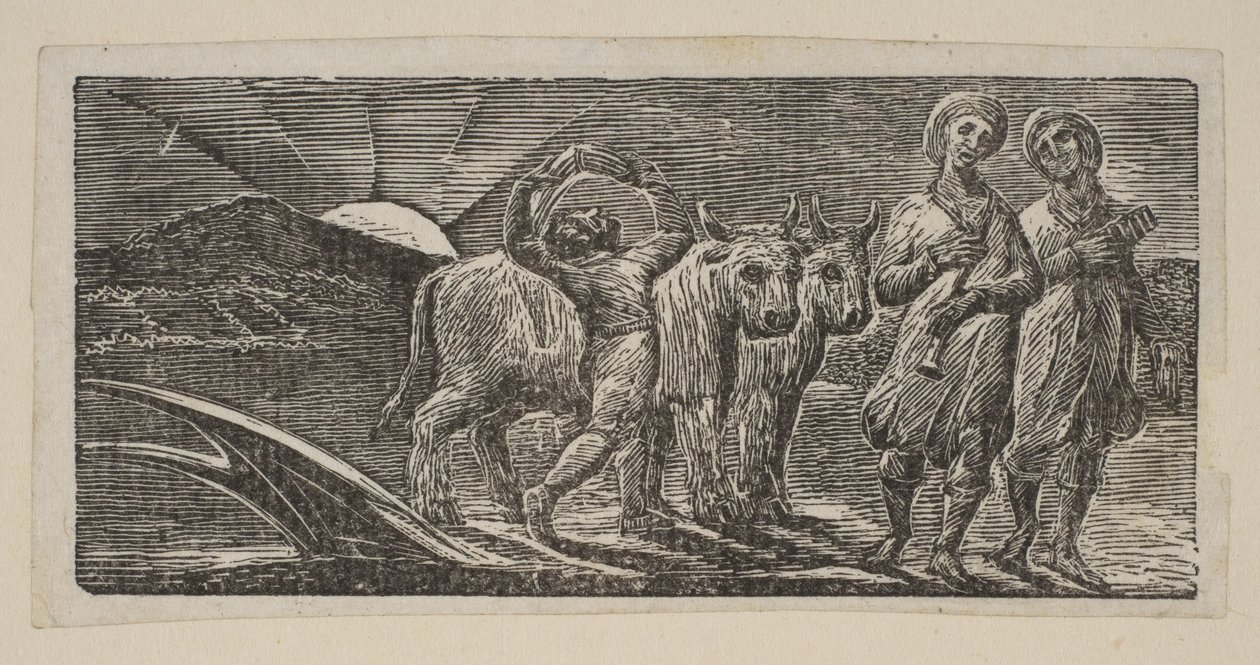 Garçon revenant joyeusement, avec charrue et bœufs, de Pastorales de Virgile de Thornton, 1821 - William Blake