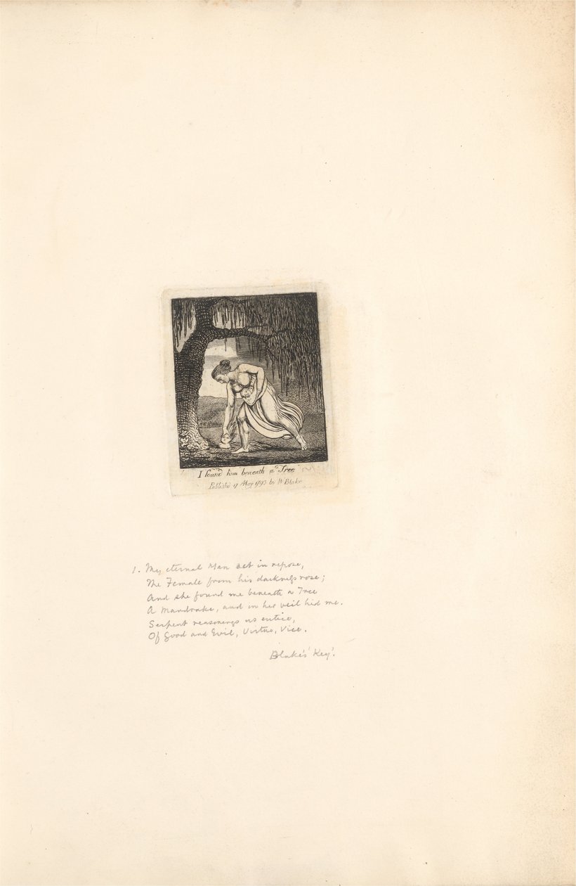 Pour les Sexes - Les Portes du Paradis, Planche 3, Je l