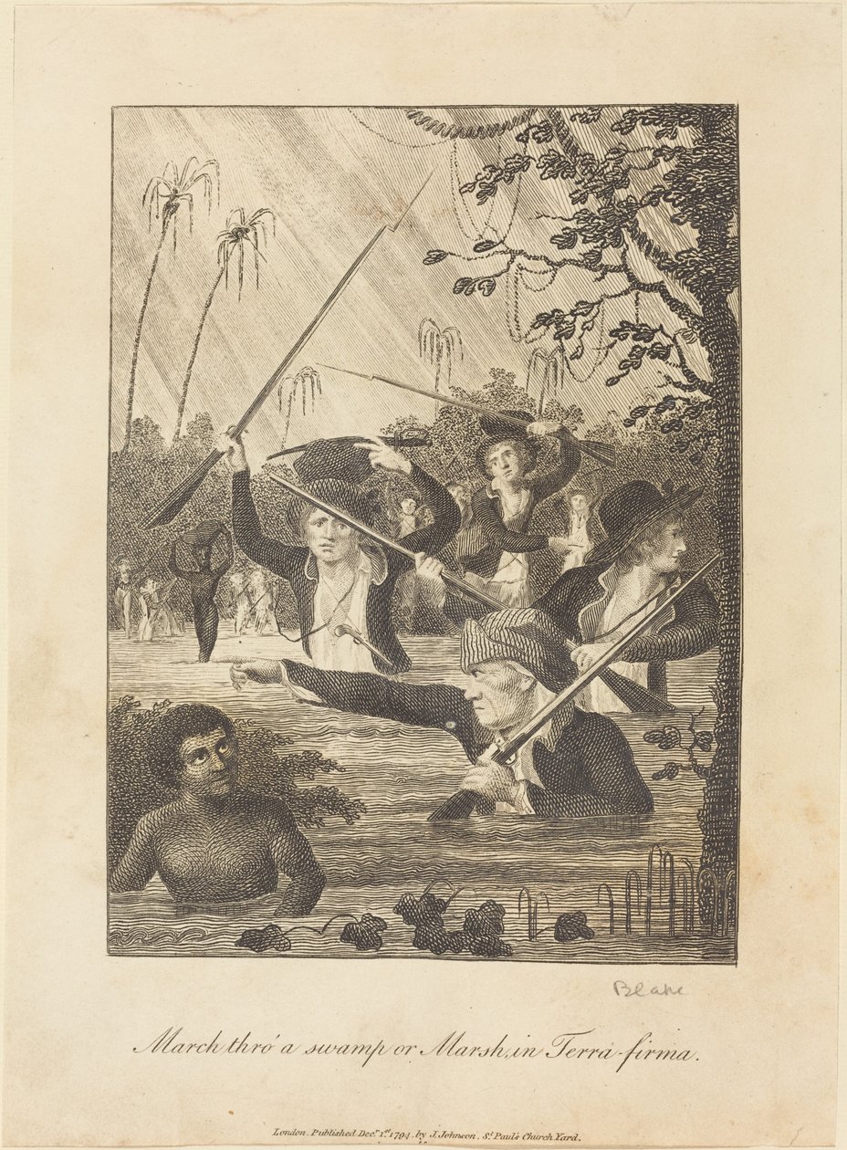 Marche à travers un marais ou une tourbière en Terra-firma - William Blake