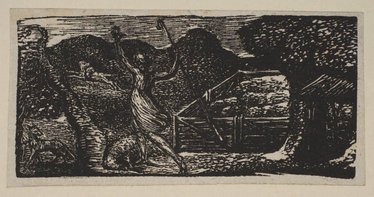 Le Berger chasse un loup, des Pastorales de Virgile de Thornton - William Blake