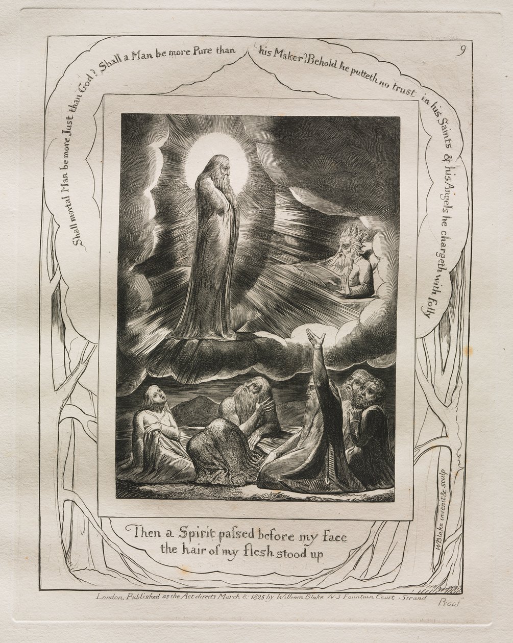 Le Livre de Job : Pl. 9, Puis un esprit passa devant mon visage / les poils de ma chair se hérissèrent - William Blake