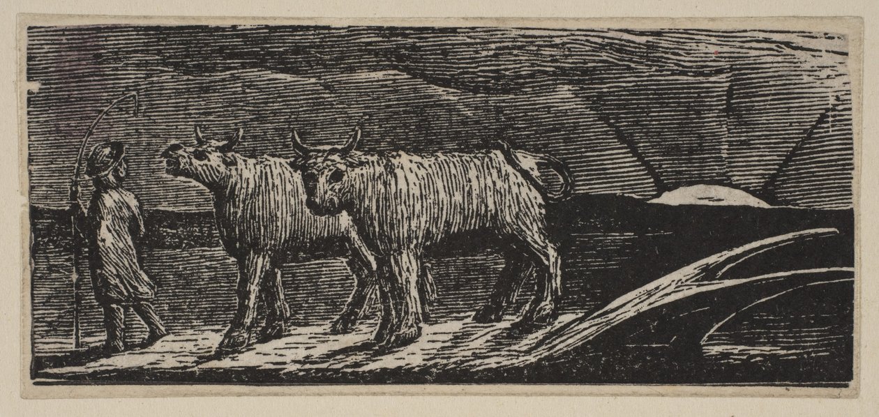 Génisses non attelées, rentrant chez elles (Pastorales de Virgile de Thornton) - William Blake