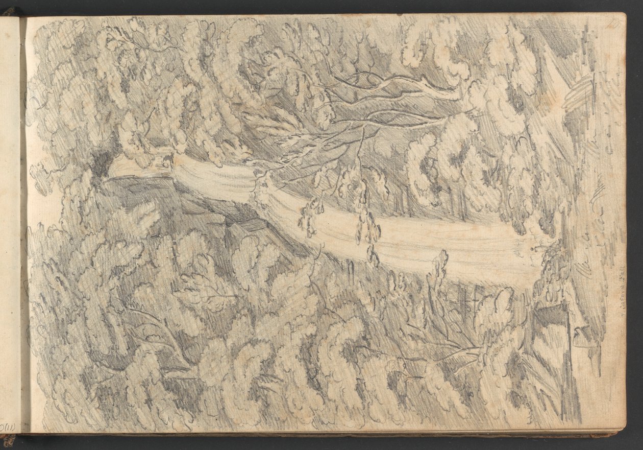 Chute de Lidford - William Brockedon