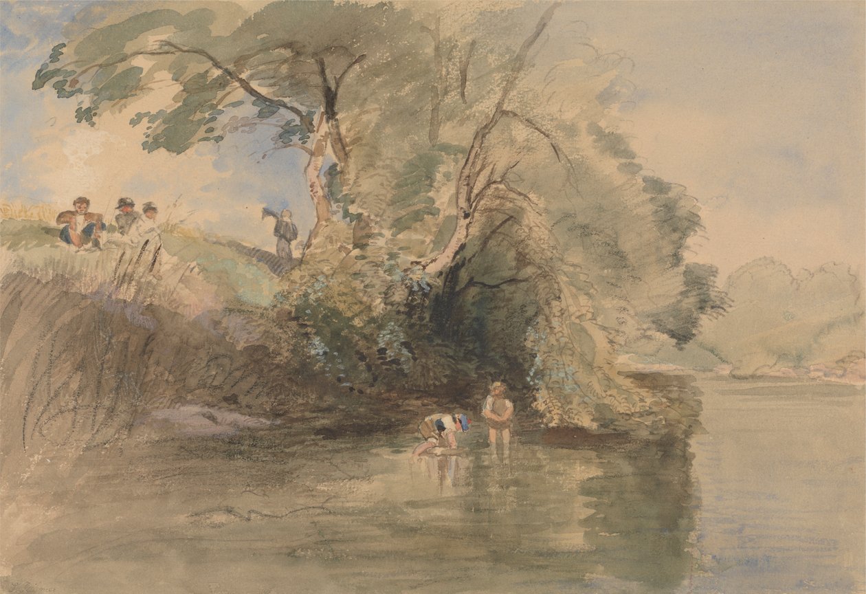 Barbotage - William Collins