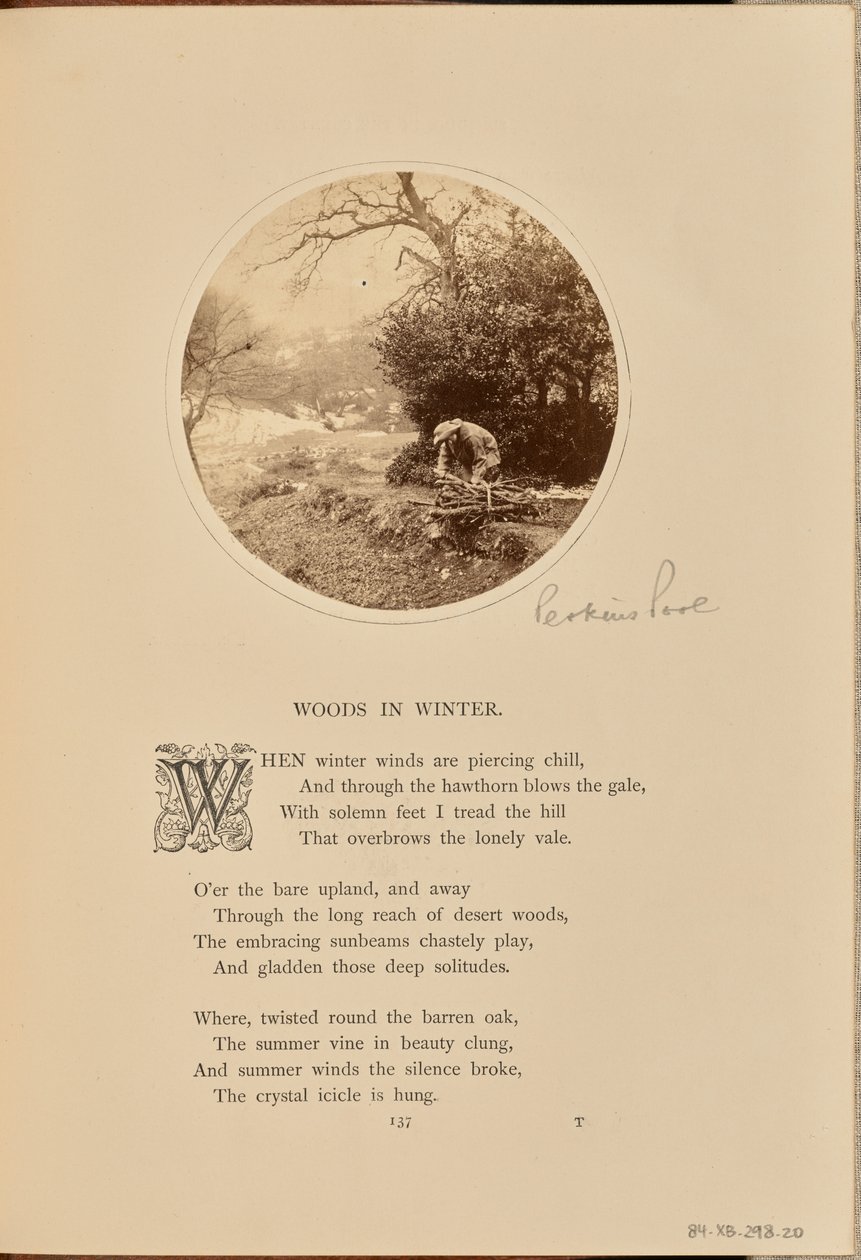 [Un homme ramasse du bois, Angleterre] - William Grundy