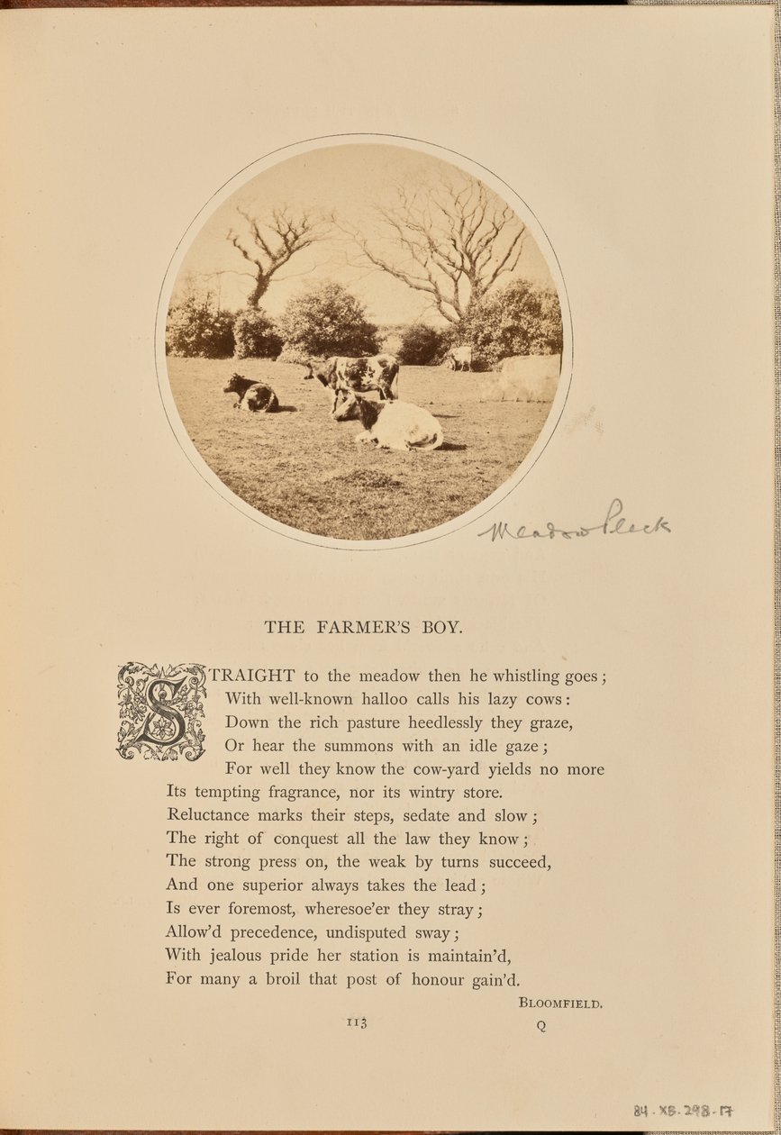 [Scène pastorale avec du bétail se reposant dans un champ, Angleterre]. - William Grundy