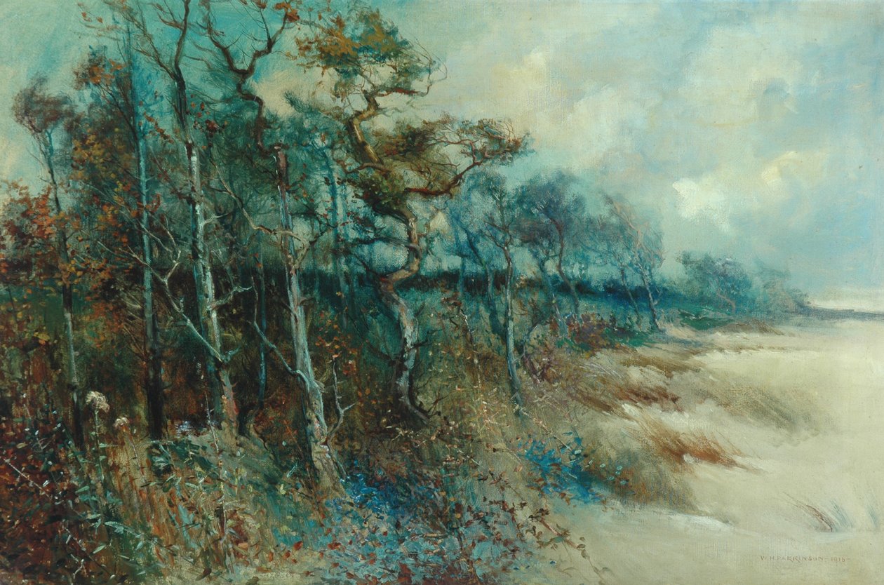 Arbres dans un paysage sablonneux, Heysham, 1915 - William H. Parkinson