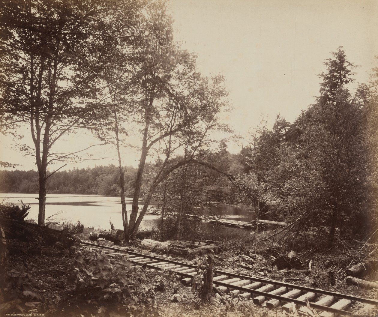 Lac de hêtres - William H. Rau