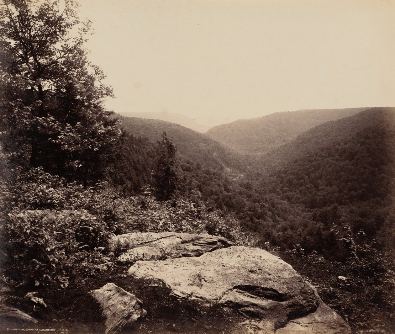 Vue de la falaise, sommet des Alleghenies - William H. Rau