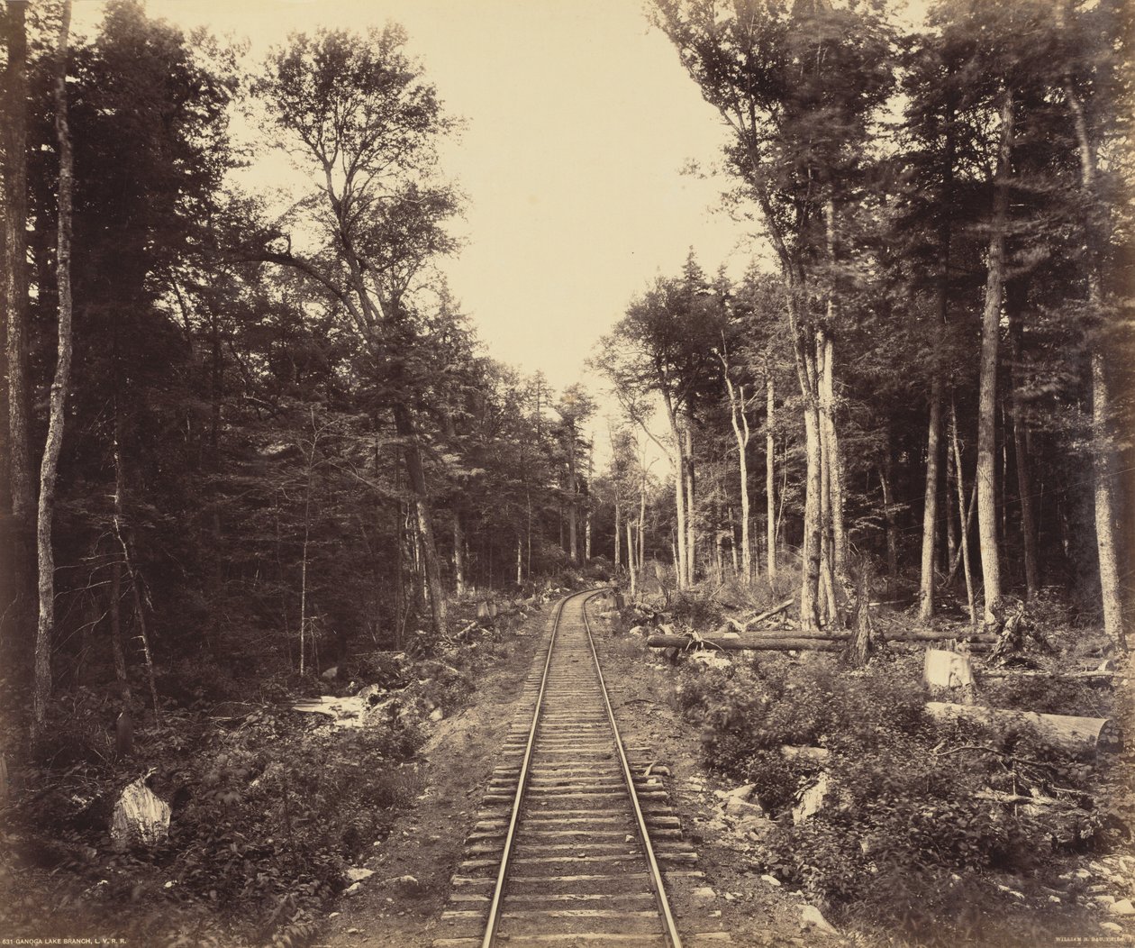 Branche du lac Ganoga - William H. Rau