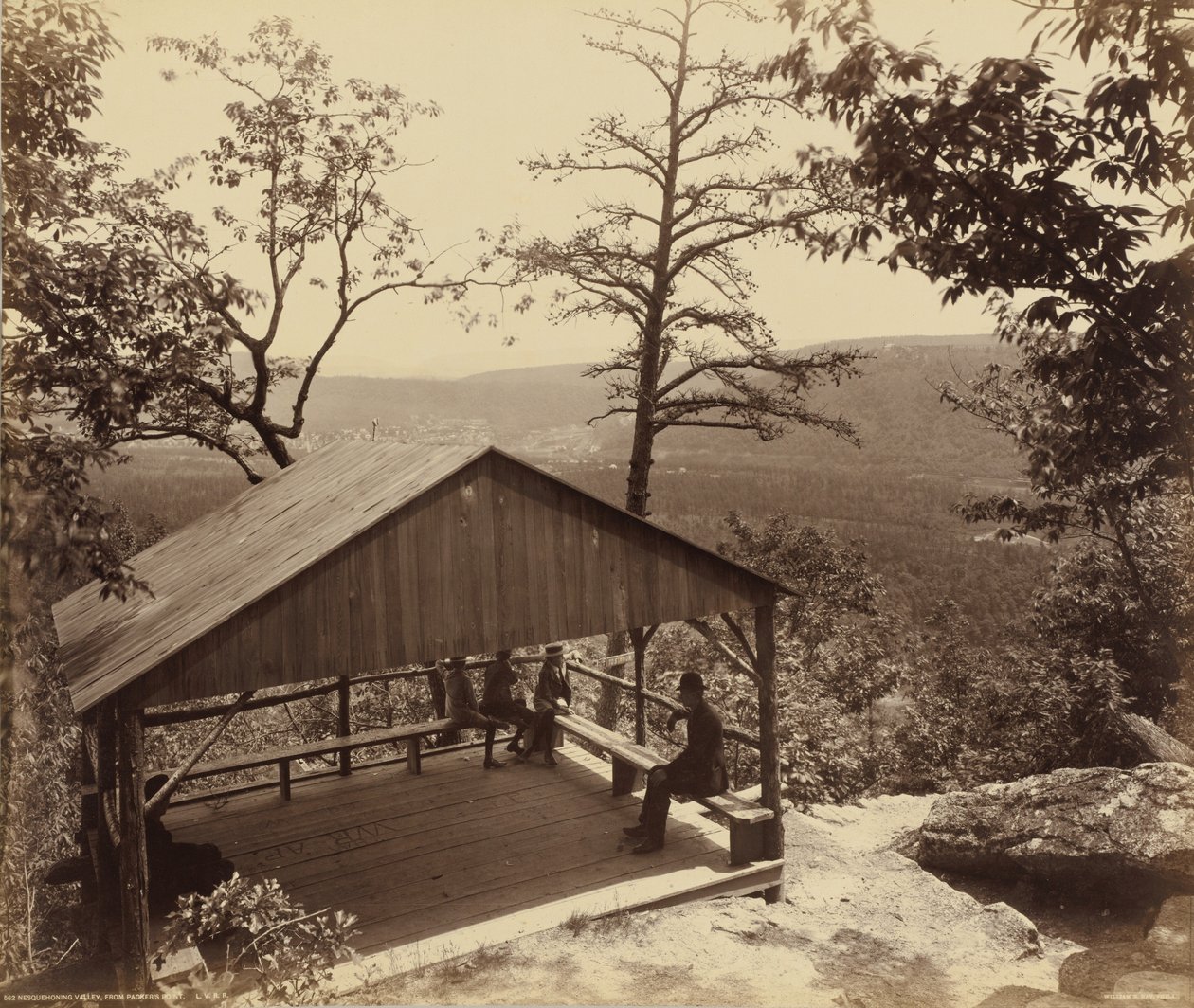 Vallée de Nesquehoning, depuis le point de Packer - William H. Rau