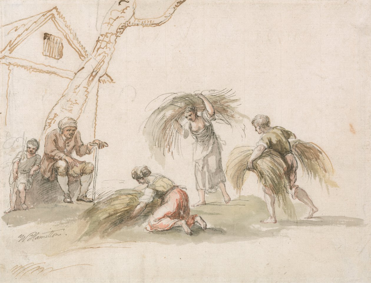 Figures récoltant - William Hamilton
