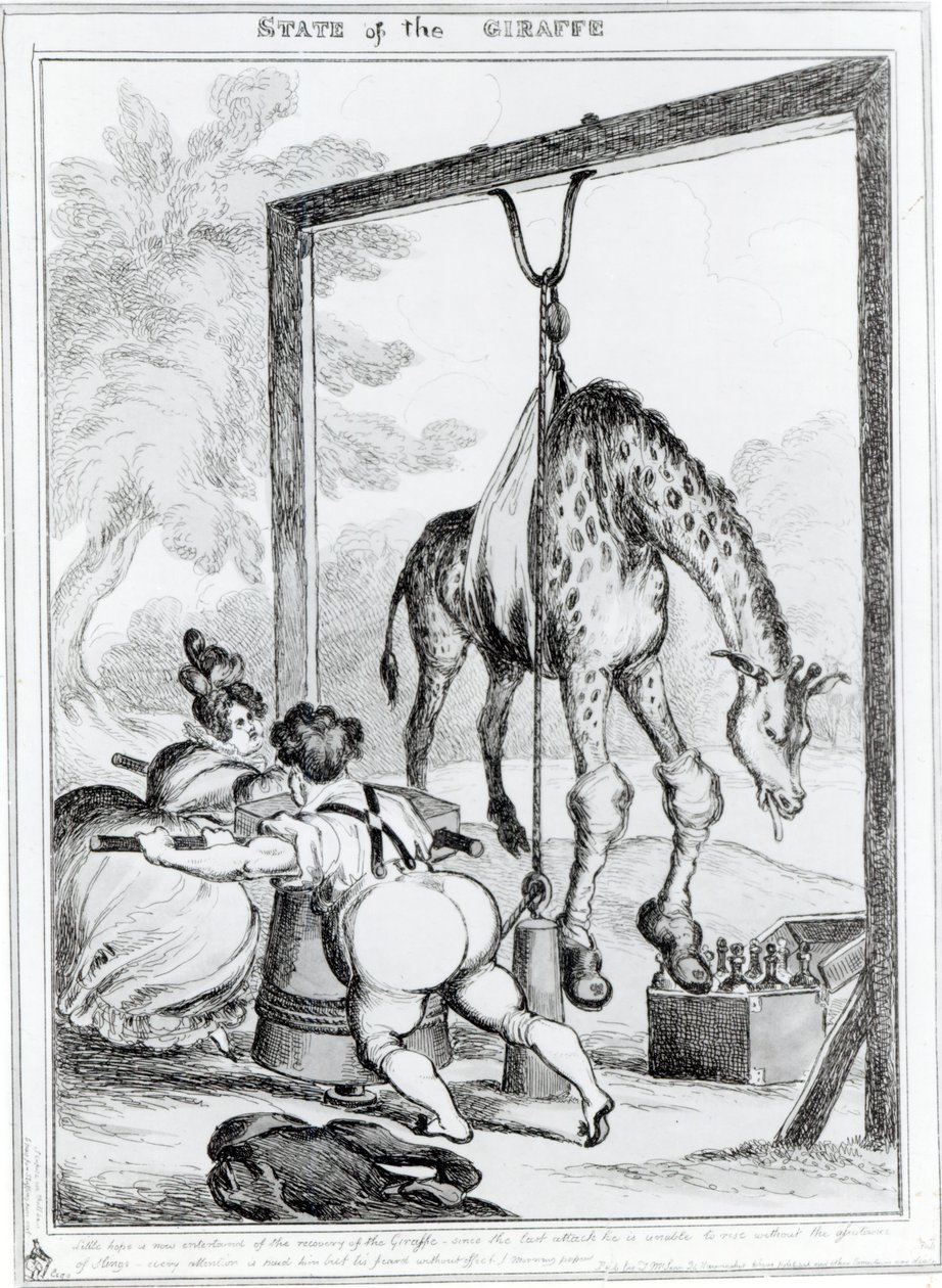 État de la girafe, 1829 - William Heath