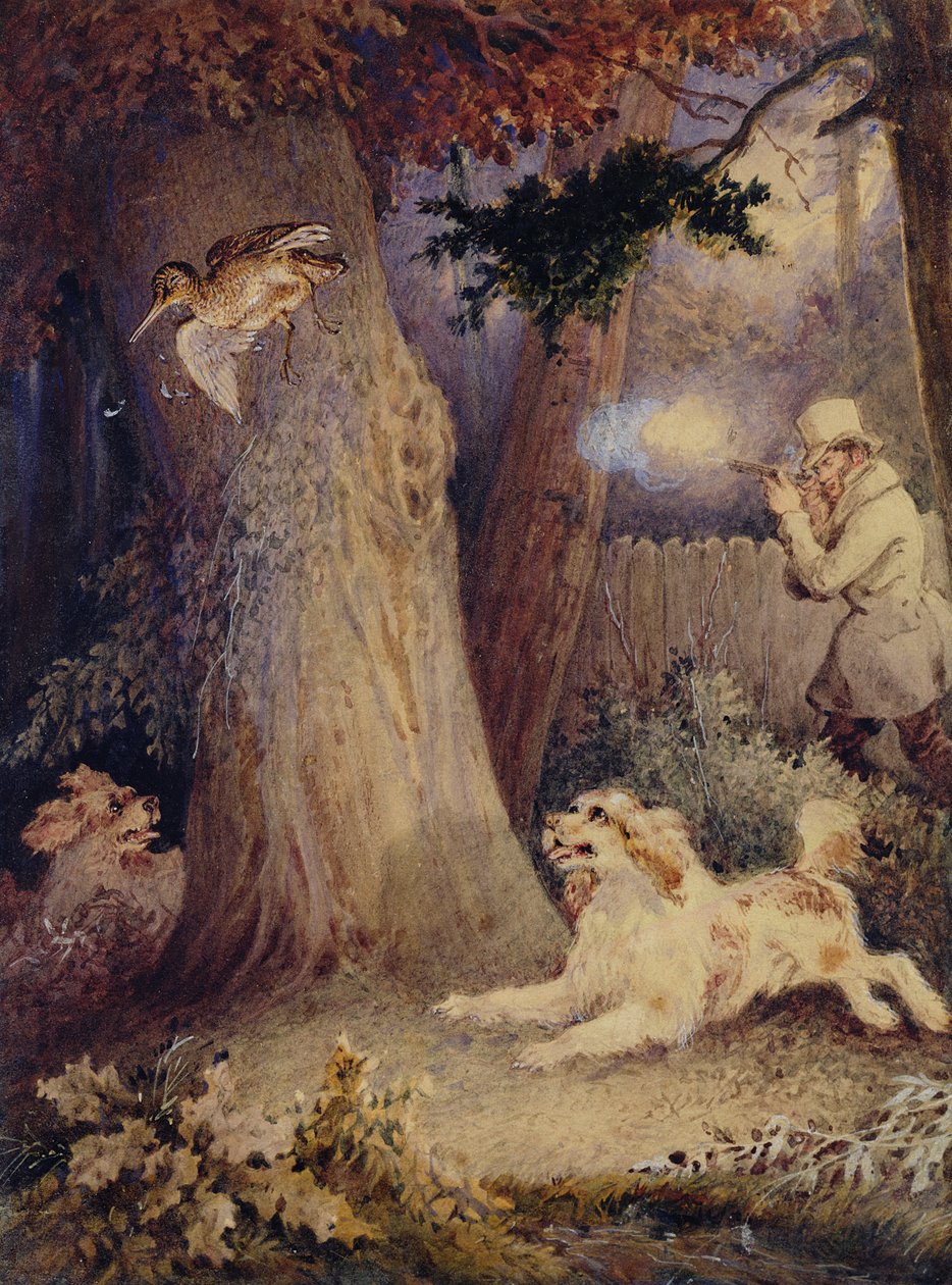 Chasse à la bécasse - William Heath