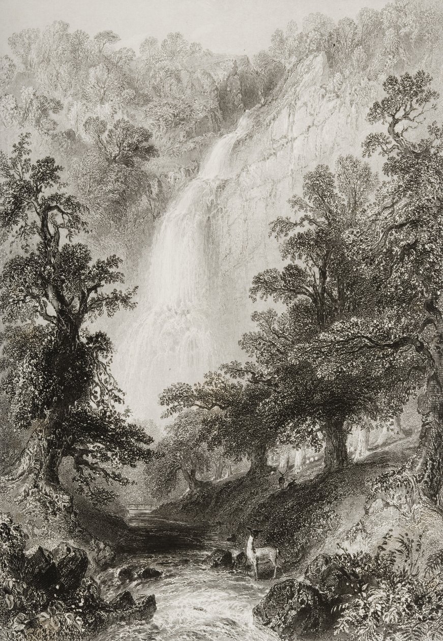La cascade, Powerscourt, comté de Wicklow, Irlande, de 