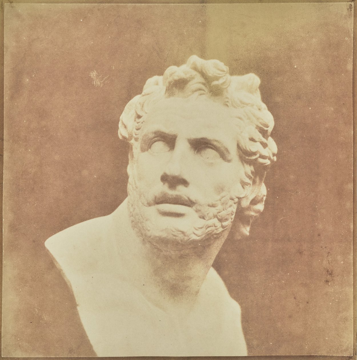 Buste de Patrocle - William Henry Fox Talbot