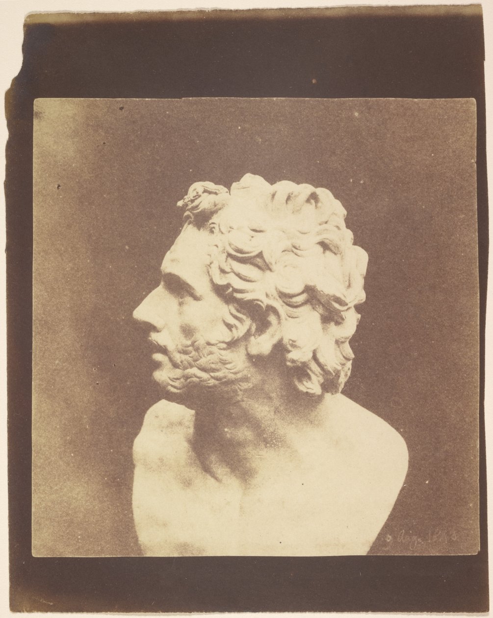 [Buste de Patrocle] - William Henry Fox Talbot