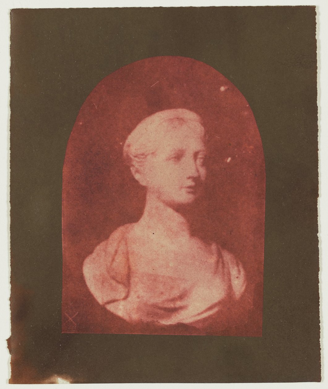 [Büste einer jungen britischen Frau] - William Henry Fox Talbot