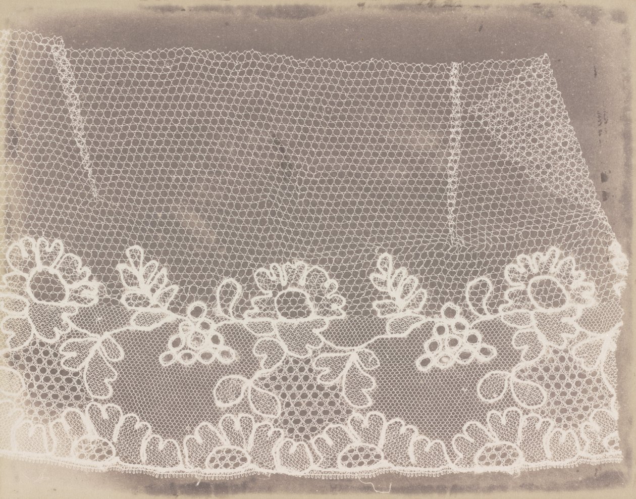 Dentelle - William Henry Fox Talbot