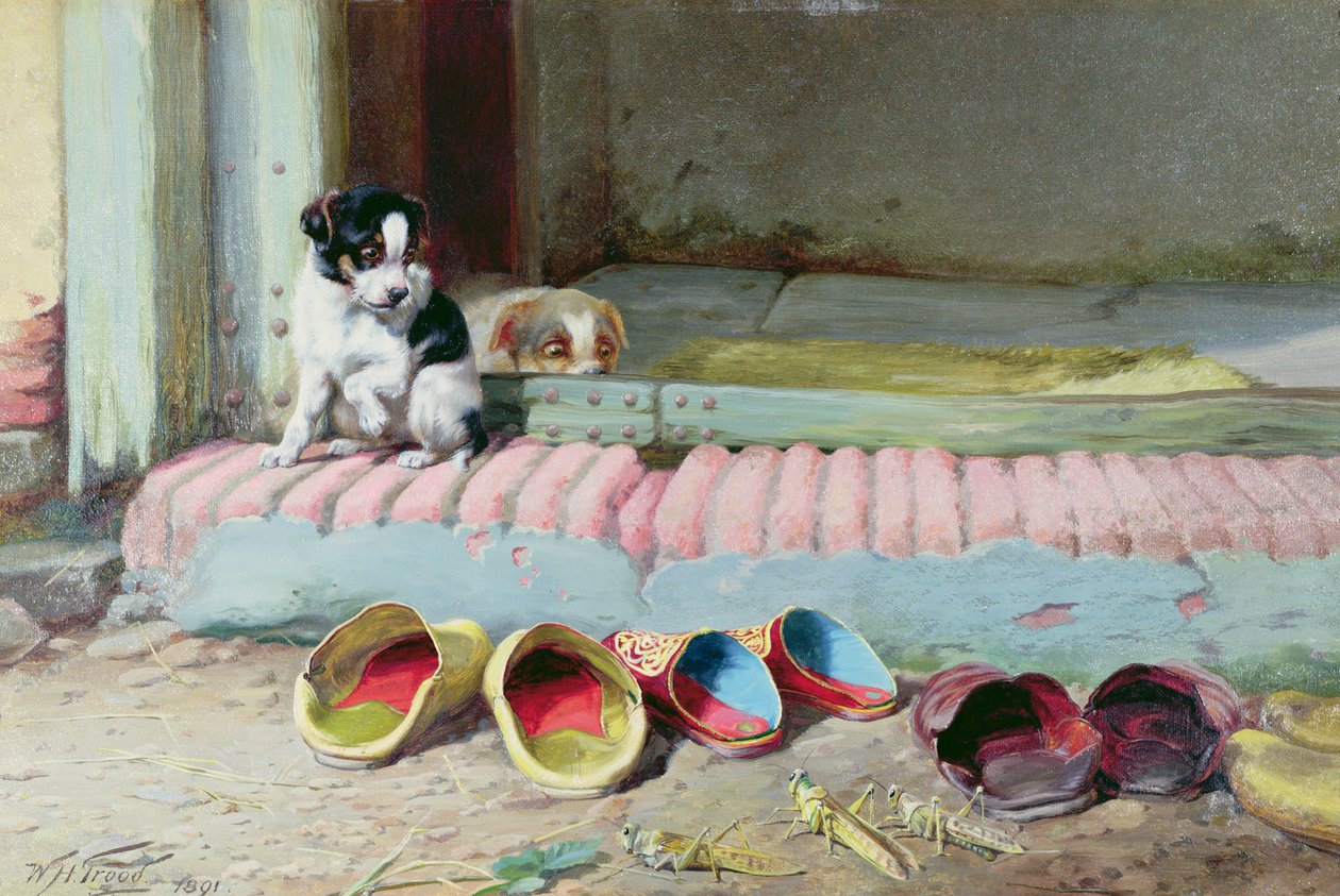 Ami ou Ennemi, 1891 - William Henry Hamilton Trood