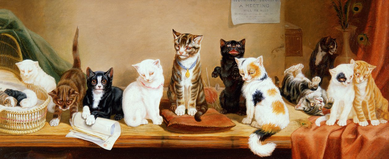 Droits des femmes - Une réunion, 1885 - William Henry Hamilton Trood