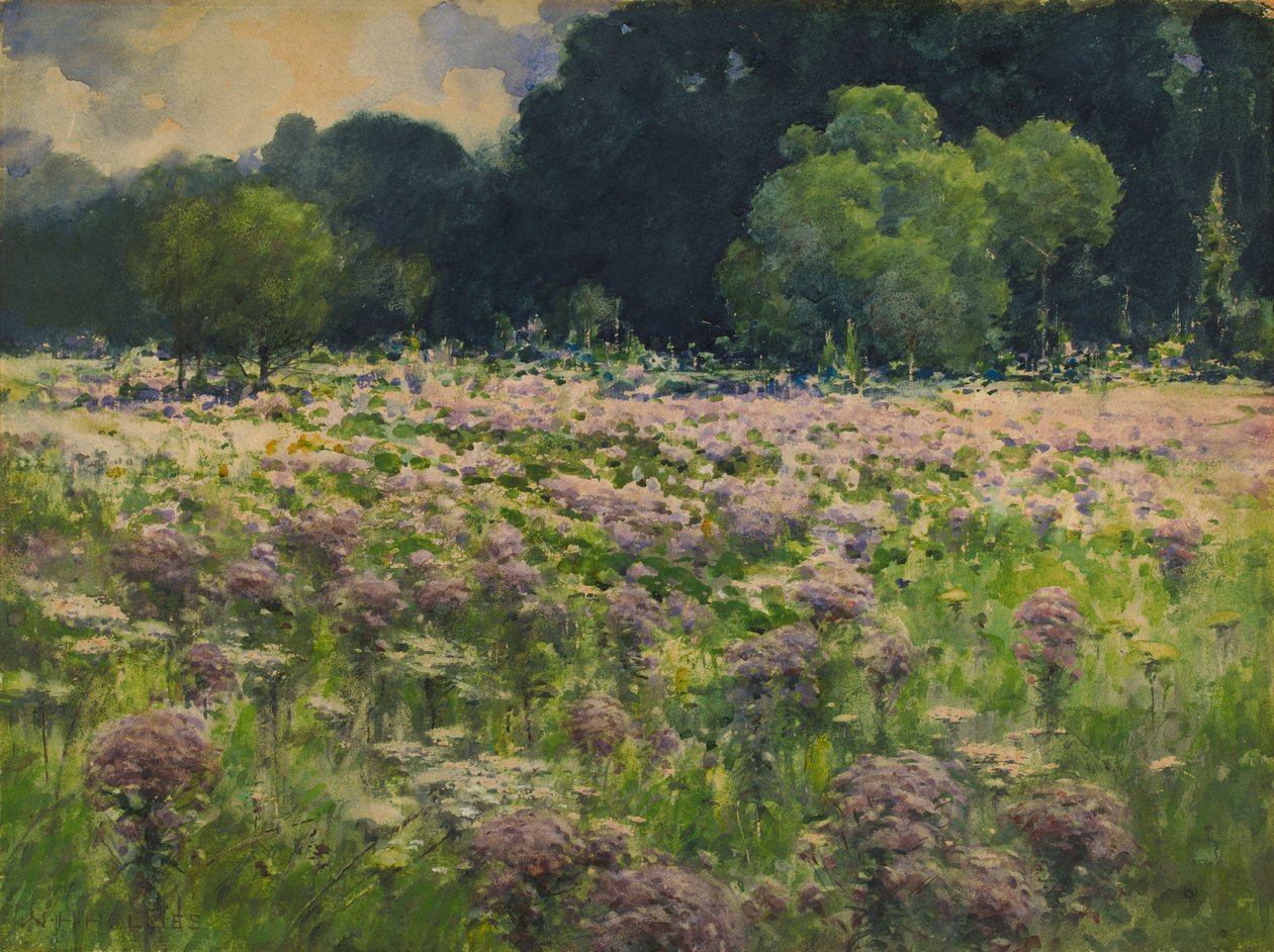 Champ de Joe Pie Weeds Fierté de la prairie, n.d. - William Henry Holmes