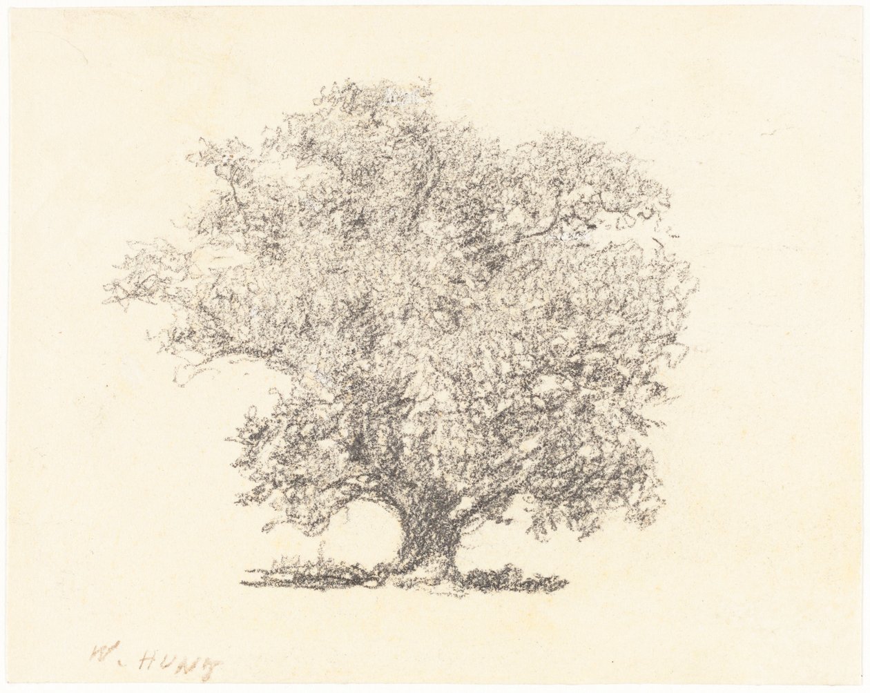 Un arbre en pleine feuille - William Henry Hunt