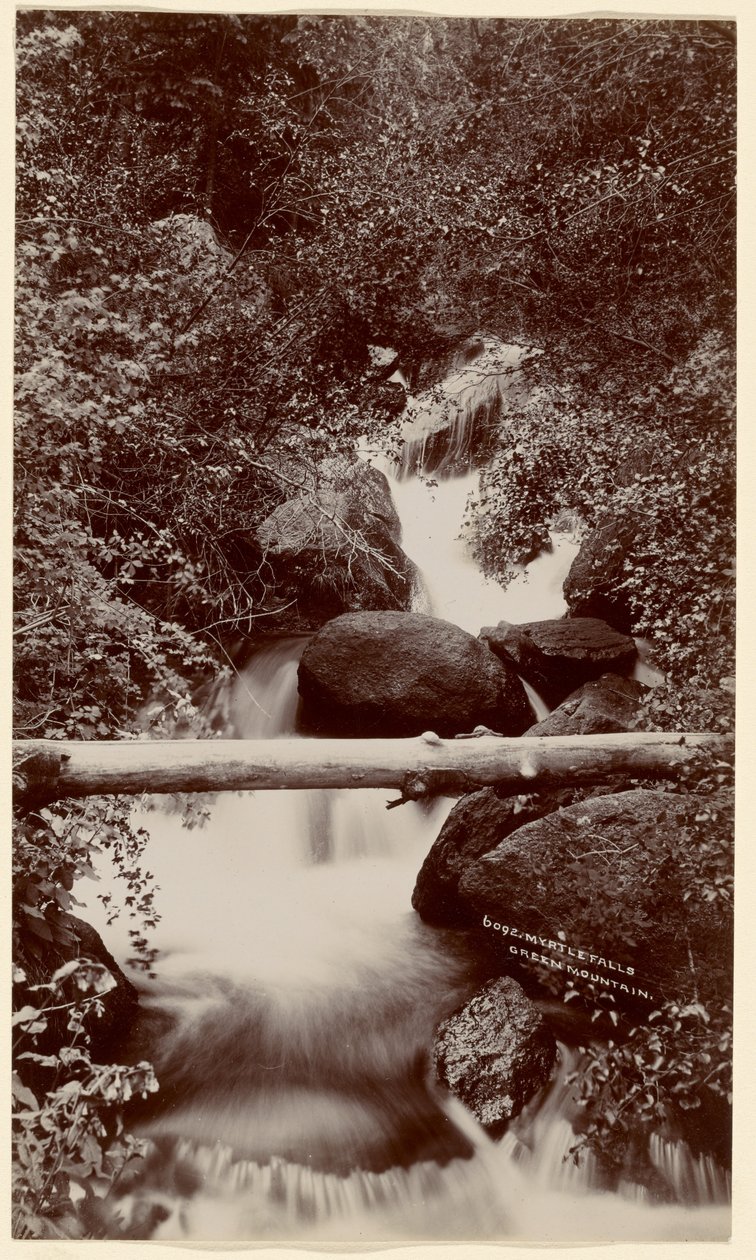 [Myrtle Falls, Green Mountain, Colorado] - William Henry Jackson