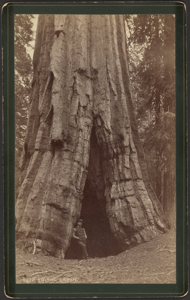 Cabane Smiths - William Henry Jackson