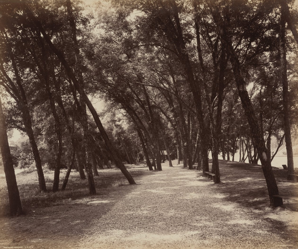 Terrain de pique-nique, c. 1895 (photo) - William Herman Rau