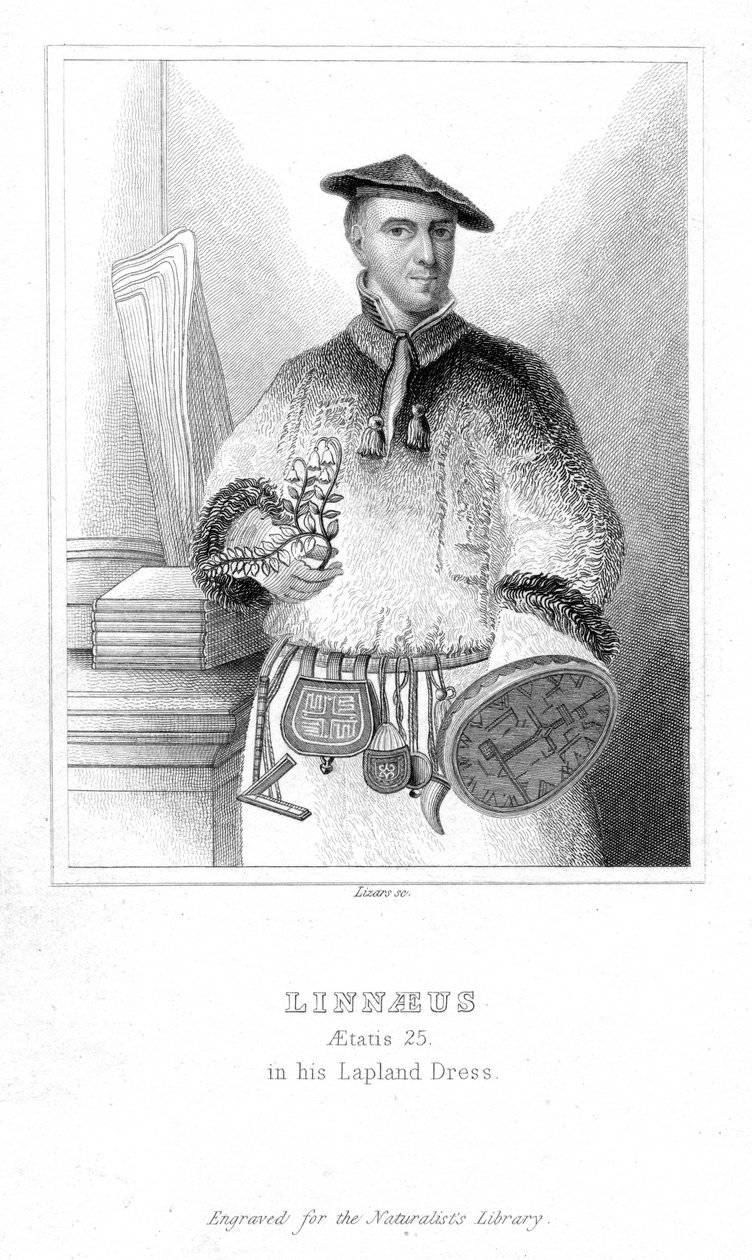 Carolus Linnaeus, naturaliste suédois, 1732 début 19e siècle - William Home Lizars