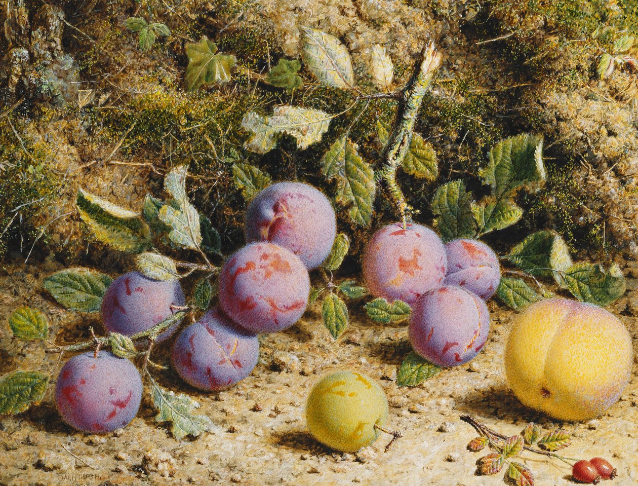 Nature morte avec prunes, une pêche et des cynorrhodons - William Hough