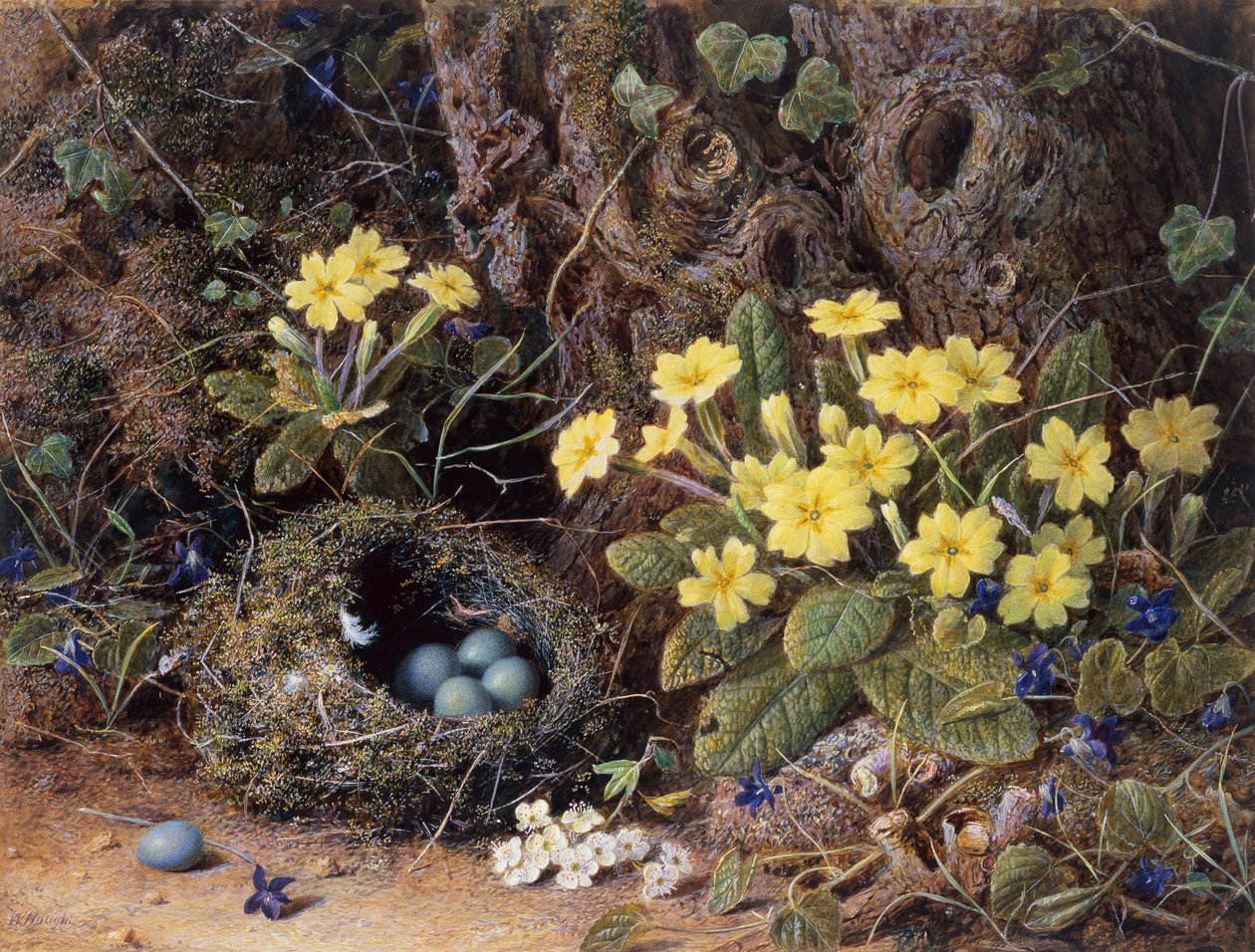 Nature morte avec un nid d