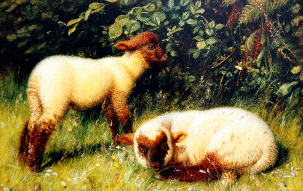 Moutons, vers 1860 - William J. Webbe or Webb