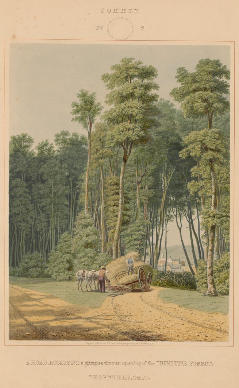 Été - Un accident de route. Un aperçu à travers une ouverture de la forêt primitive. Thornville, Ohio - William James Bennett after George Harvey