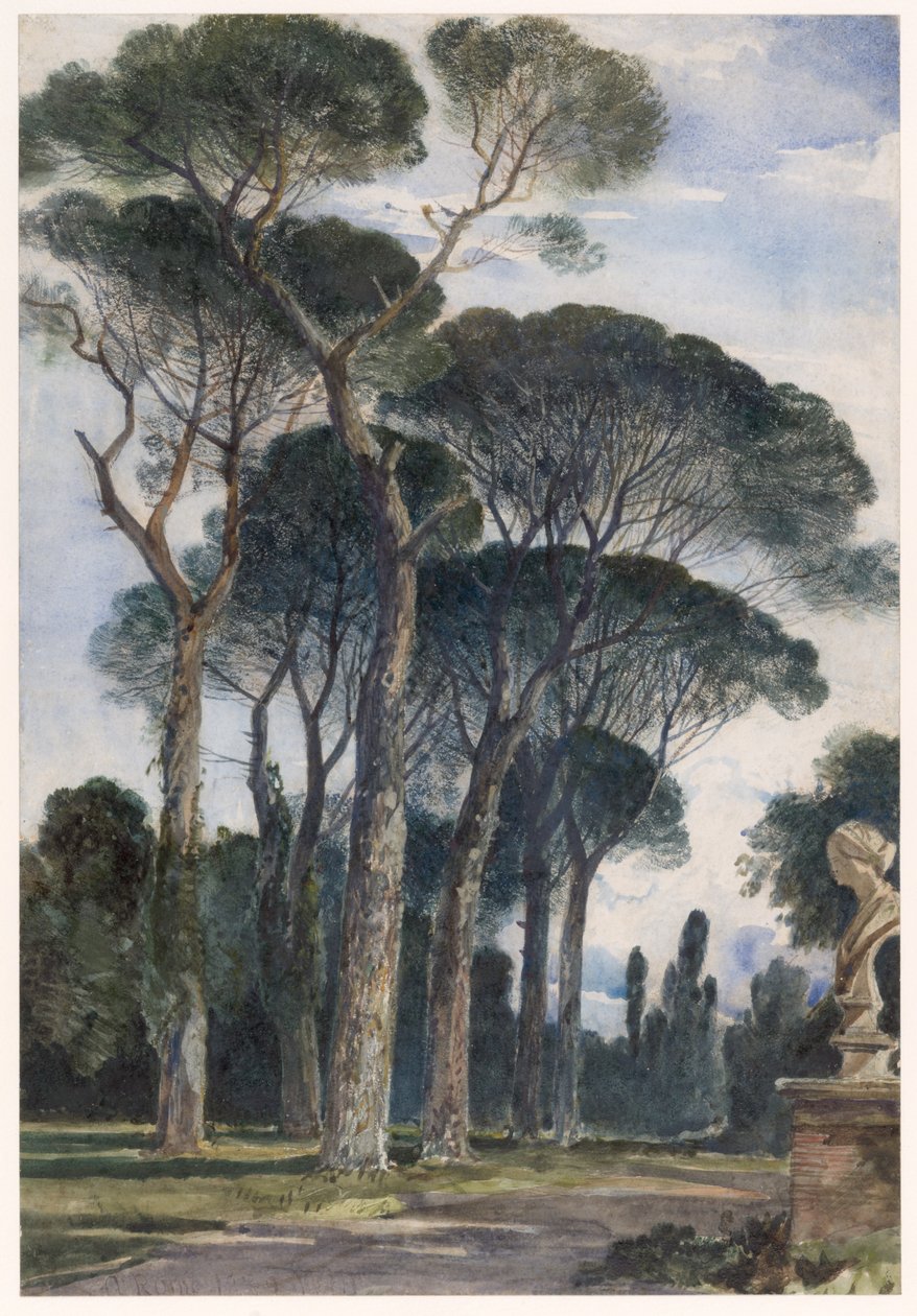 Pins parasols à la villa Borghèse, Rome - William James Muller