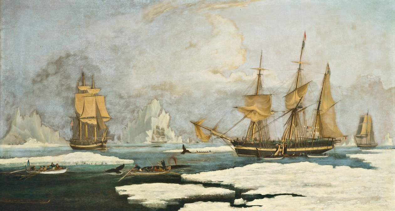 La pêche à la baleine du Nord : Le navire Harmony de Hull et d