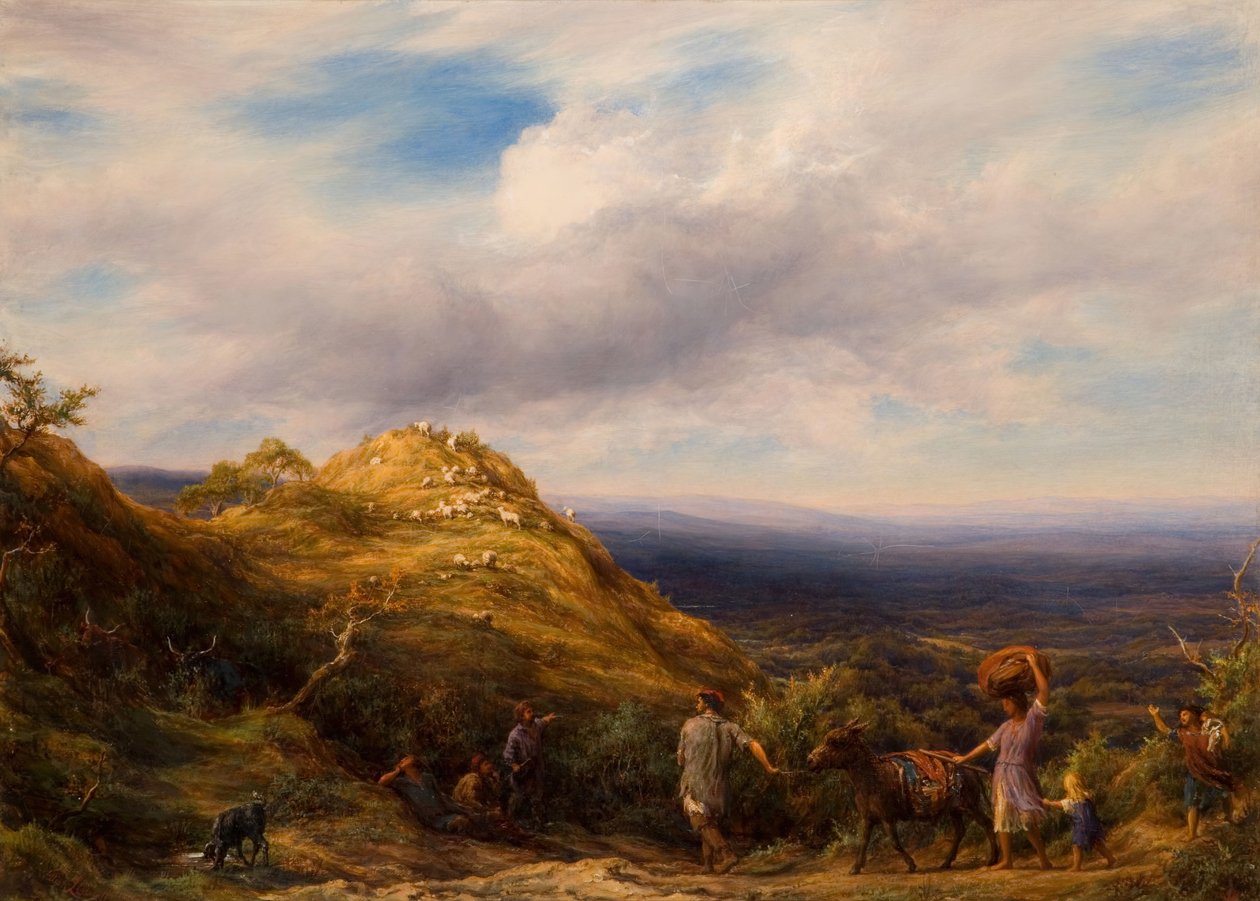 Une vallée boisée et une colline - William Linnell