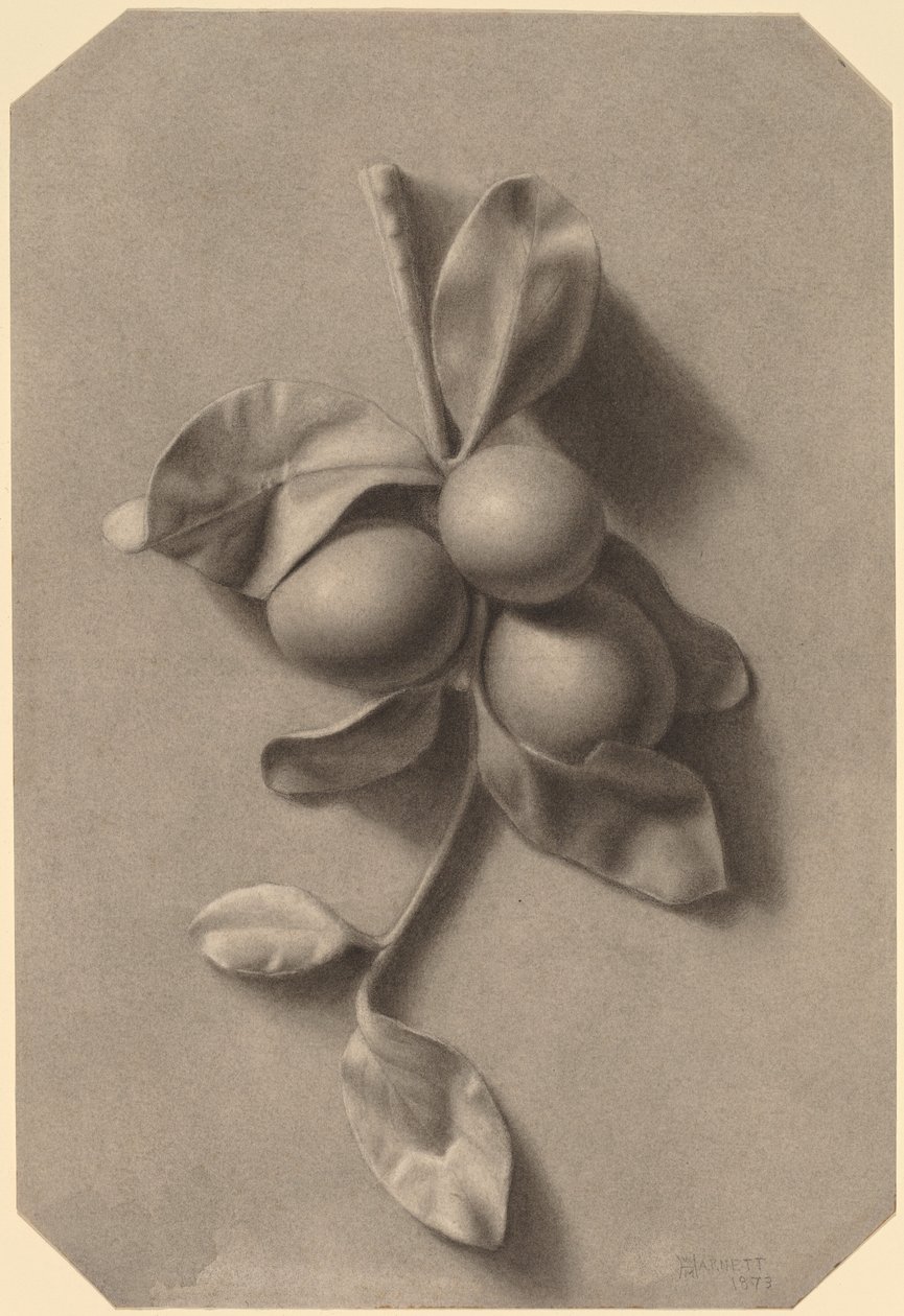 Une branche de prunes - William Michael Harnett