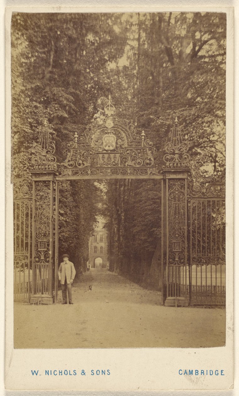 Trinity Cole Avenue - William Nichols and Sons